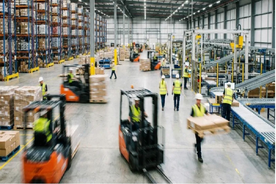 pamviličar prava izbira